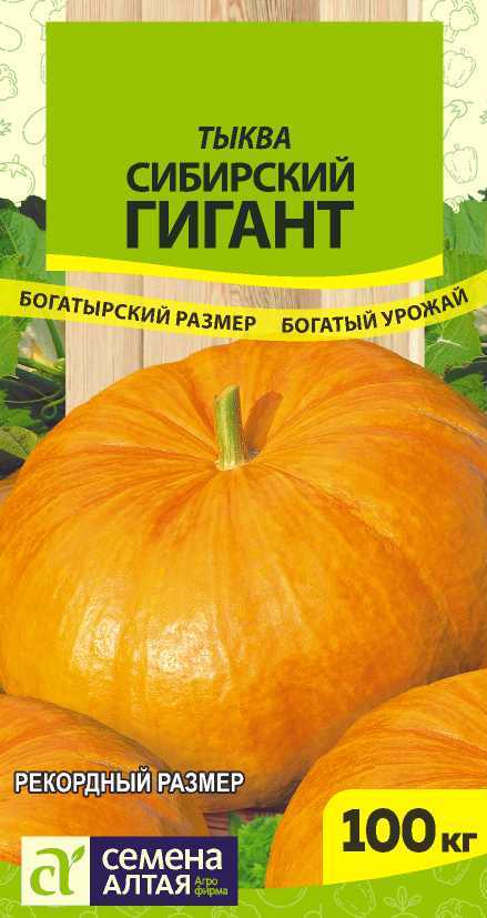 Сибирский гигант