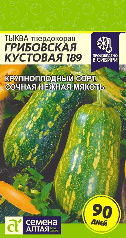 Тыква Кустовая