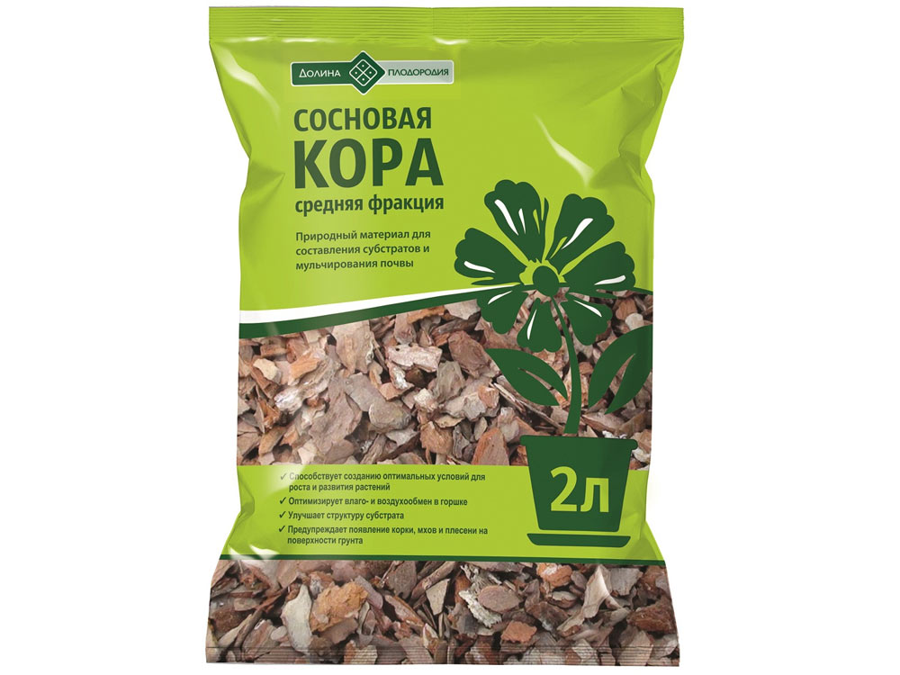 Кора 2 л.