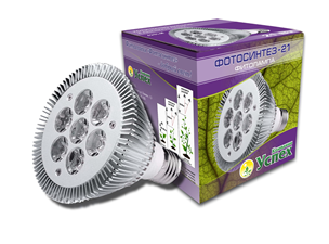 Фотосинтез 21