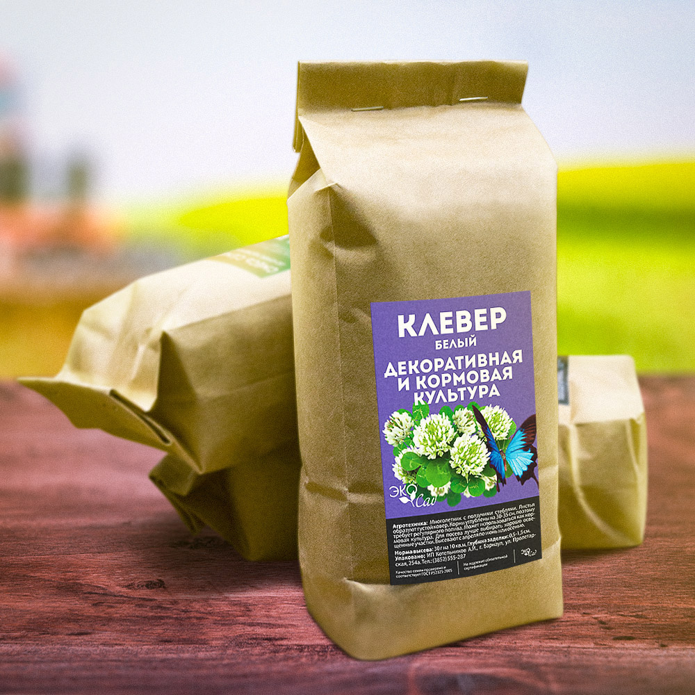 Клевер белый