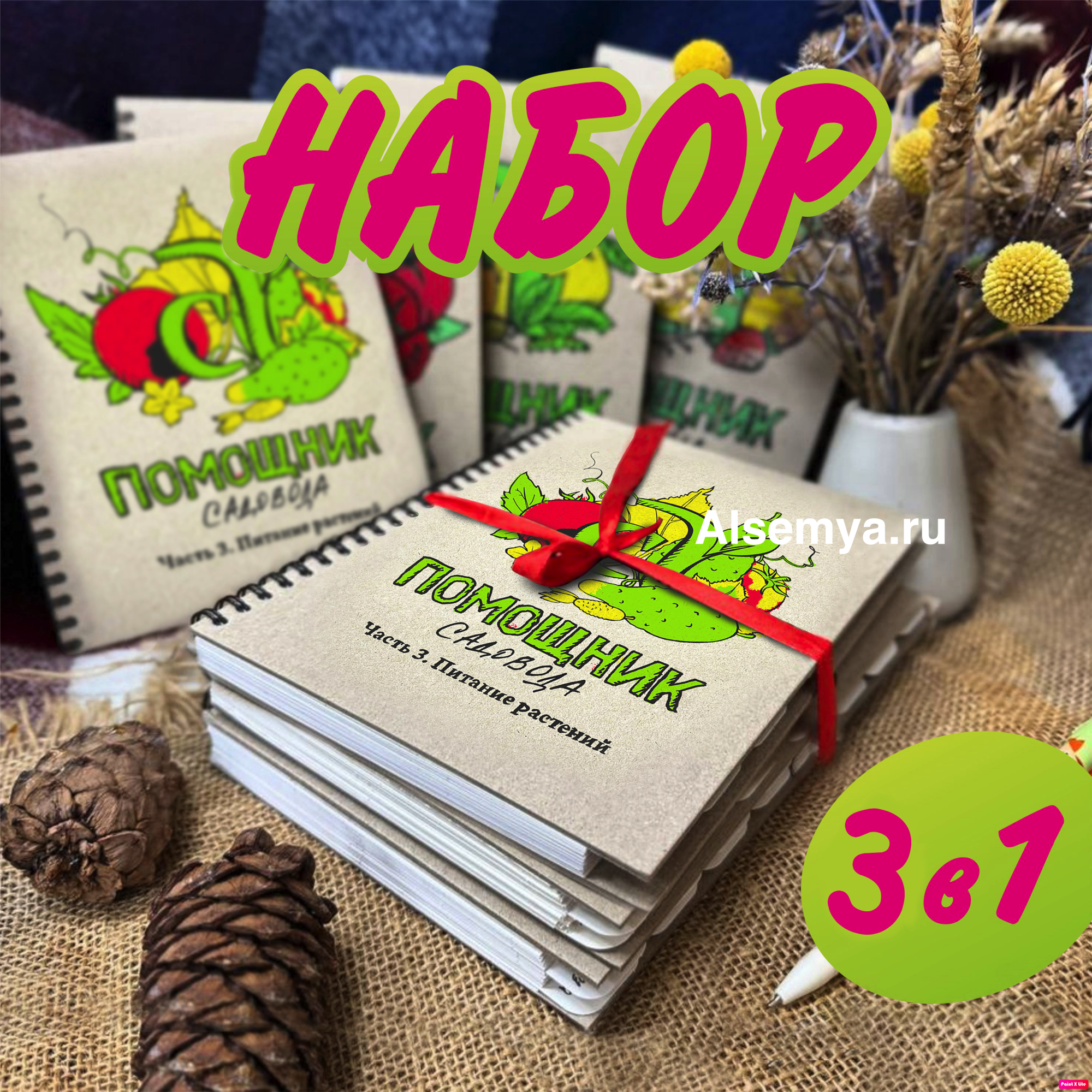 Набор блокноты 3 в 1 c сайтом